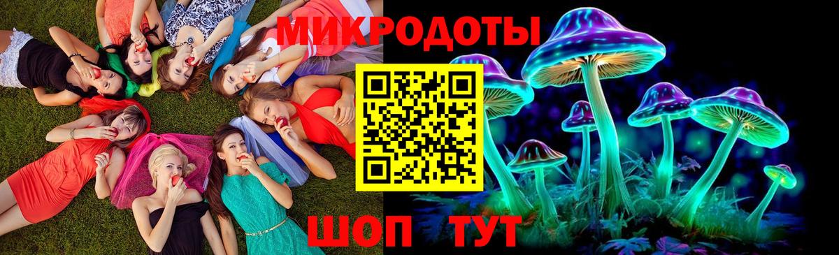 Псилоцибиновые грибы Cubensis Урюпинск